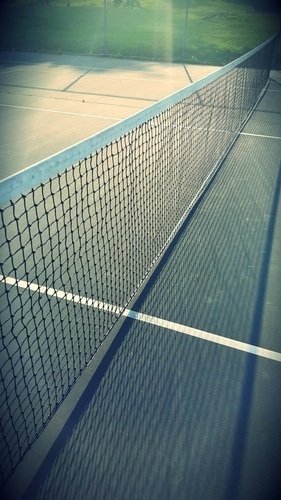 best pickleball net